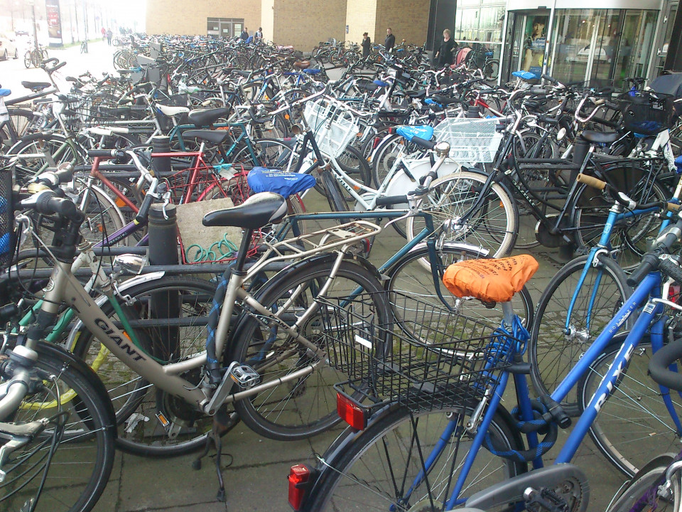 Am Potsdamer Hauptbahnhof stehen hunderte von Fahrrädern auf dem Gehweg. Foto: Marianne Arnold